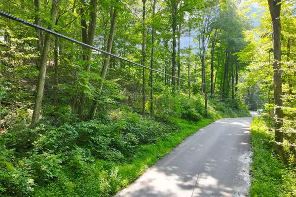 34 Gordon RD, Carmel, NY