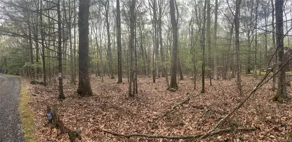 0 Clipper Drive Clipper DR, Wurtsboro, NY 12790