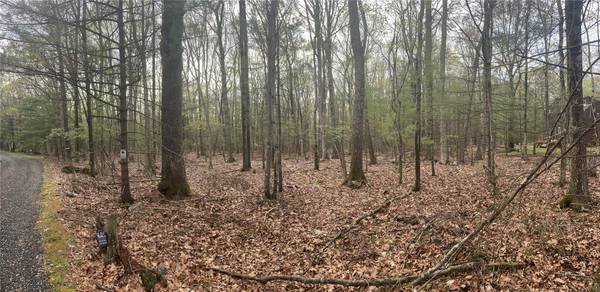 0 Clipper Drive Clipper DR, Wurtsboro, NY 12790