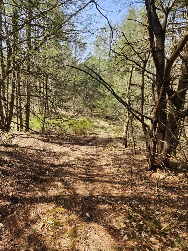 Rock Hill, NY 12775,lot 45 4th CIR