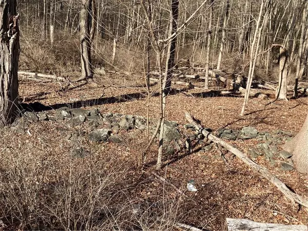 Saugerties, NY 12477,Route 212