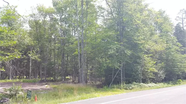 Grahamsville, NY 12765,State Route 42