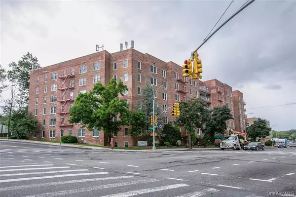 Little Neck, NY 11362,241-20 Northern Blvd #5E