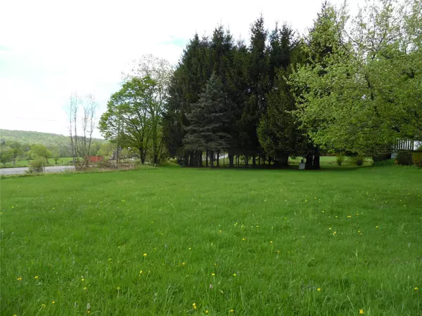 Ferndale, NY 12734,8 Crumley Van Vactor Rd