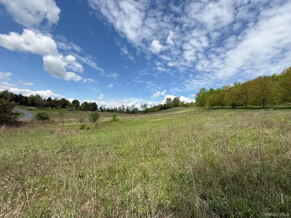 Amenia, NY 12501,Lot 4 Westerly Ridge DR