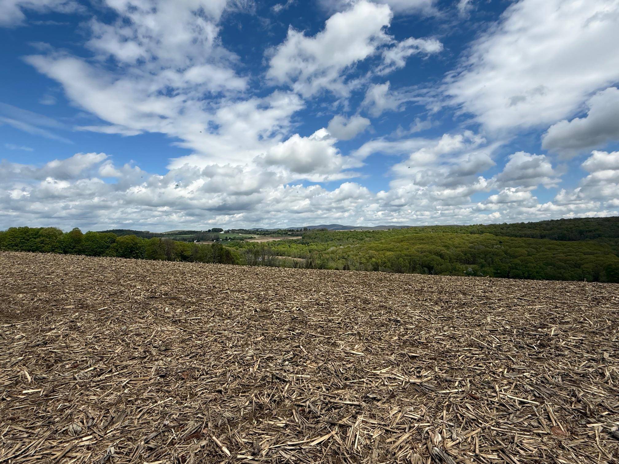 Millerton, NY 12546,Skunks Misery RD