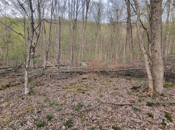 Hancock, NY 13783,Chiloway RD