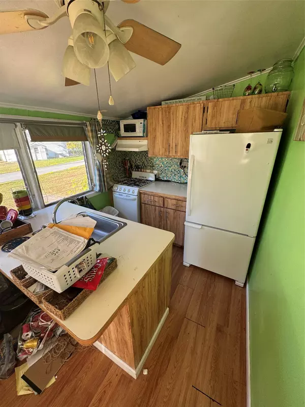 Hopewell Junction, NY 12533,17 Hibiscus #17