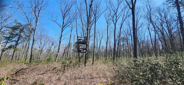 Wurtsboro, NY 12790,Peewee TRL