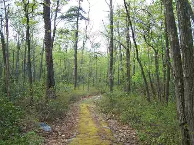 Wurtsboro, NY 12790,New RD