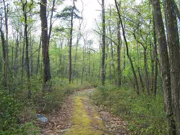 New RD, Wurtsboro, NY 12790