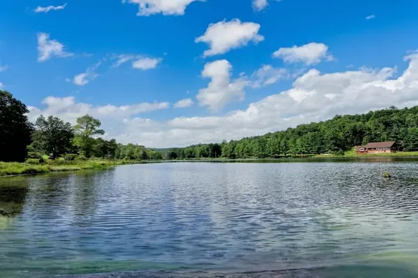 Narrowsburg, NY 12764,6450B NYS 97