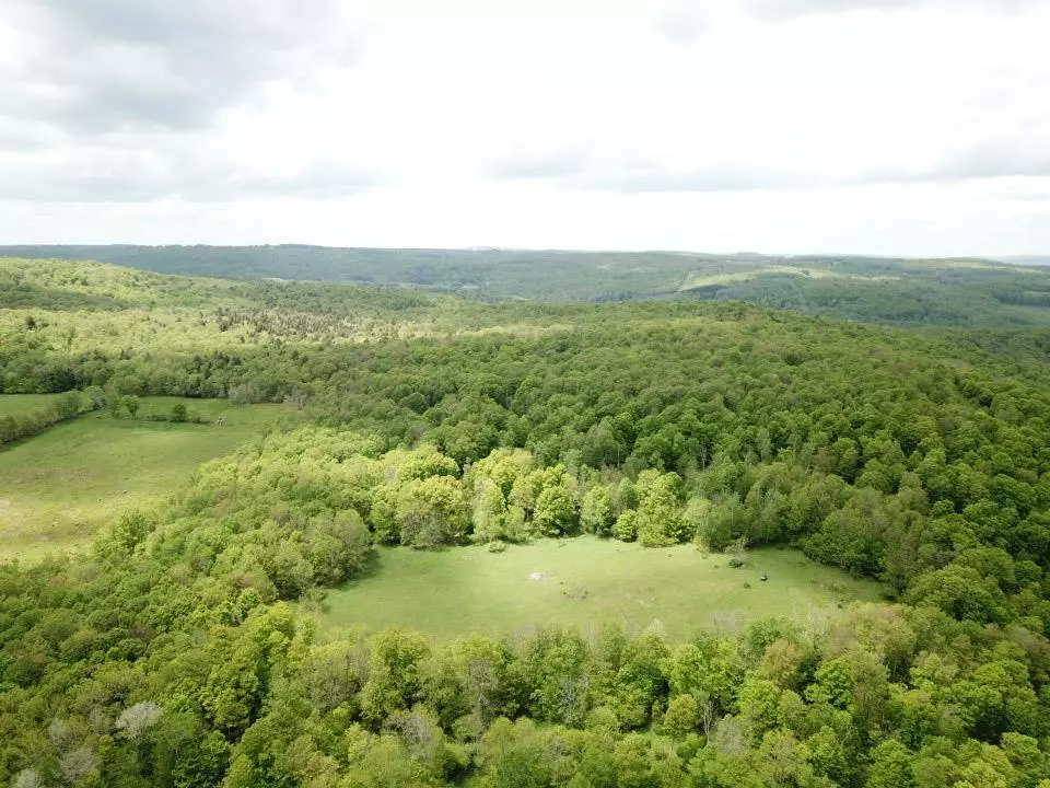 Livingston Manor, NY 12758,0 Dubois