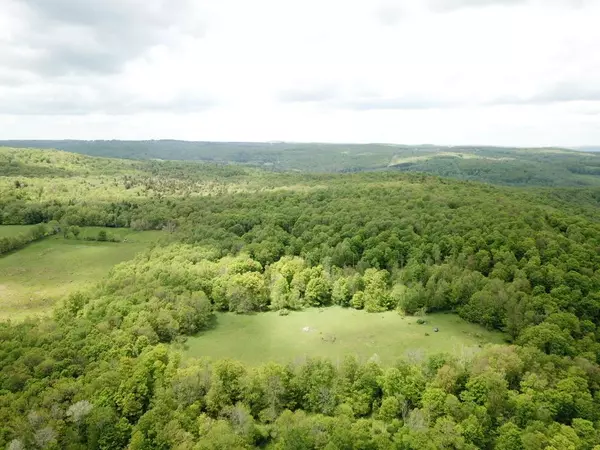 0 Dubois, Livingston Manor, NY 12758