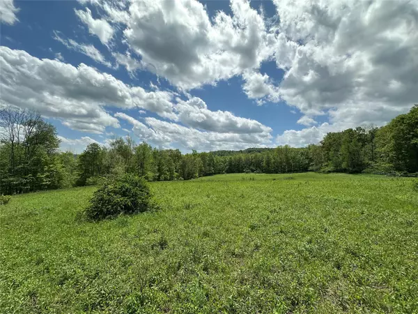 Livingston Manor, NY 12758,0 Dubois