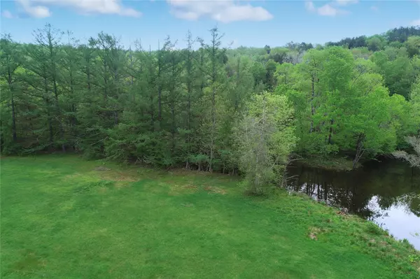 Hamden, NY,Lot 6.2 Launt Hollow RD