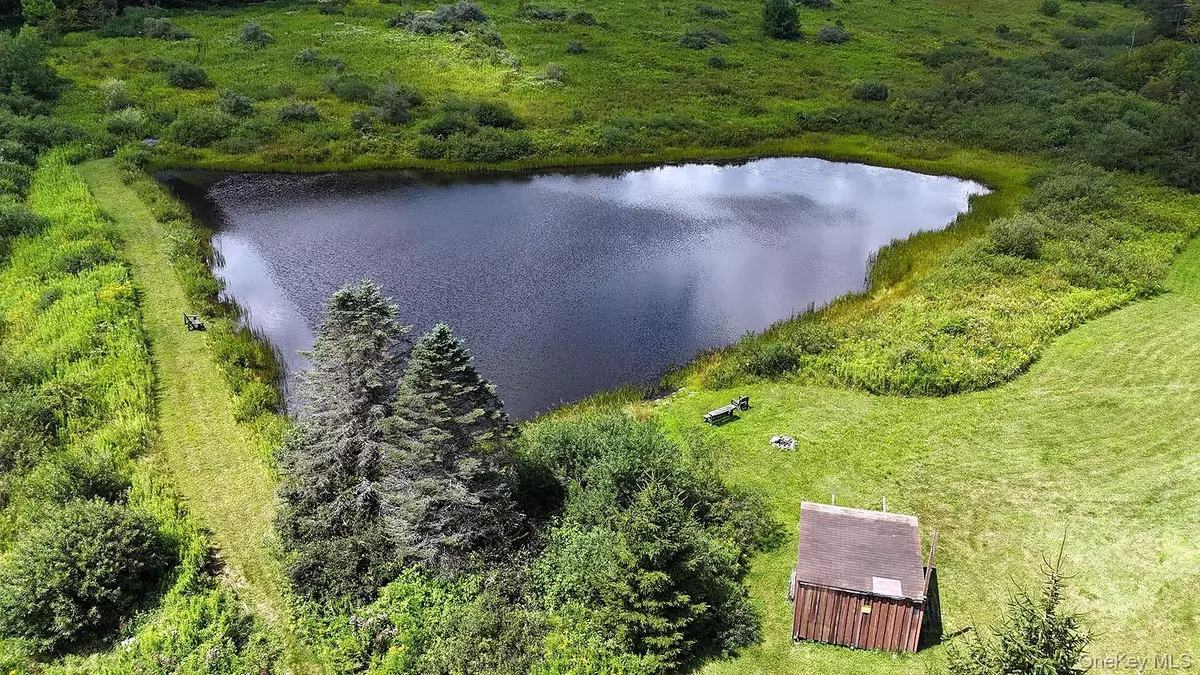 Hancock, NY 13783,3392 Eminence RD