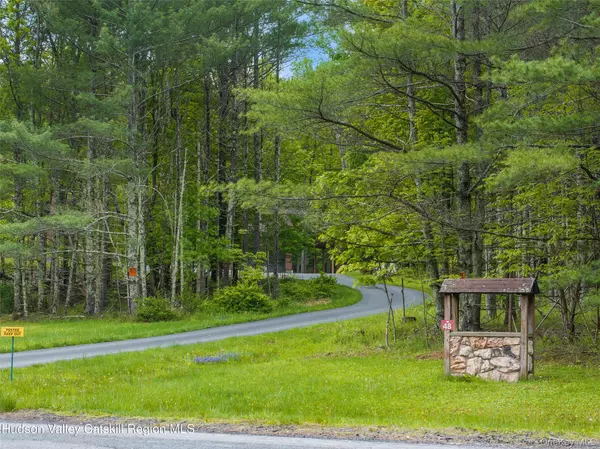 Cairo, NY 12473,48 Deer Park RD