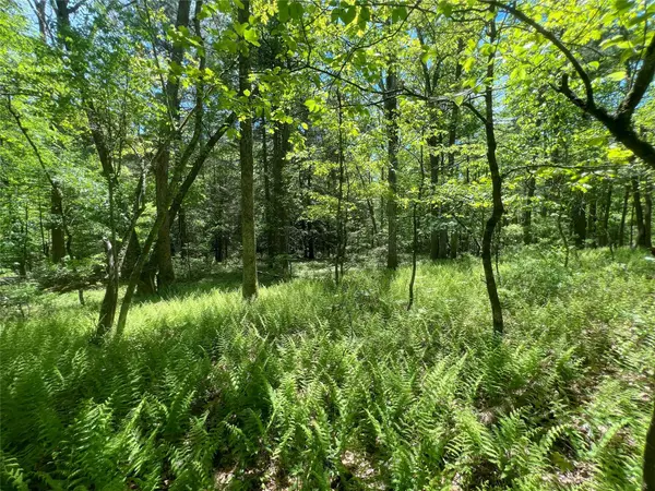 Narrowsburg, NY 12764,Lot 19 Brook DR
