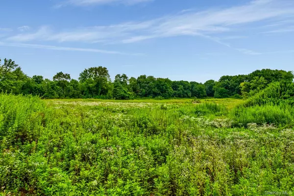 Old Brookville, NY 11545,172 Hegemans LN