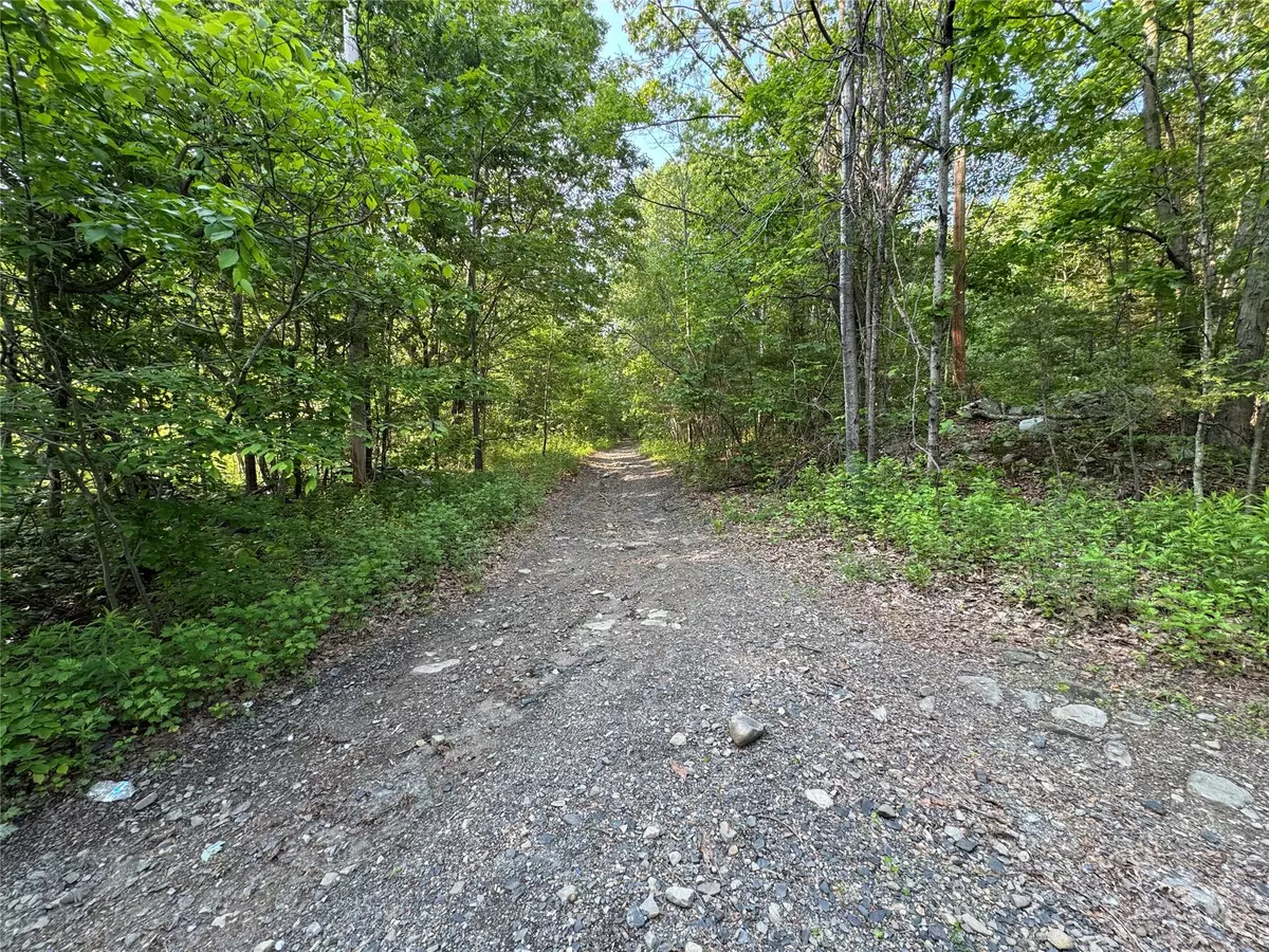 Wallkill, NY 12589,16 Saul TRL