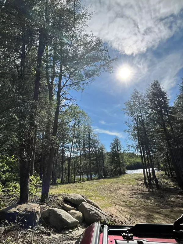 Parksville, NY 12768,47 Eagles Ridge WAY