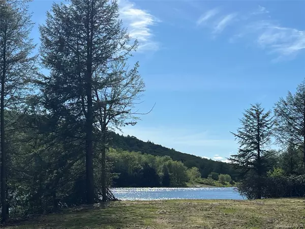 Parksville, NY 12768,47 Eagles Ridge WAY