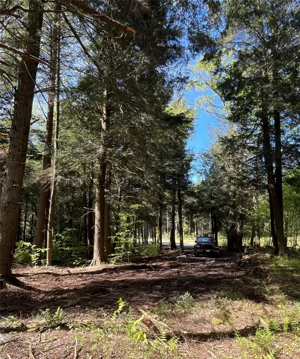 Parksville, NY 12768,153 Eagles Ridge WAY