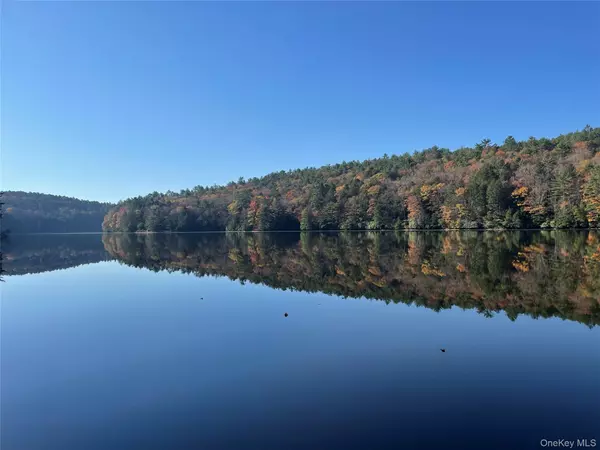 Plank RD, Forestburgh, NY 12777