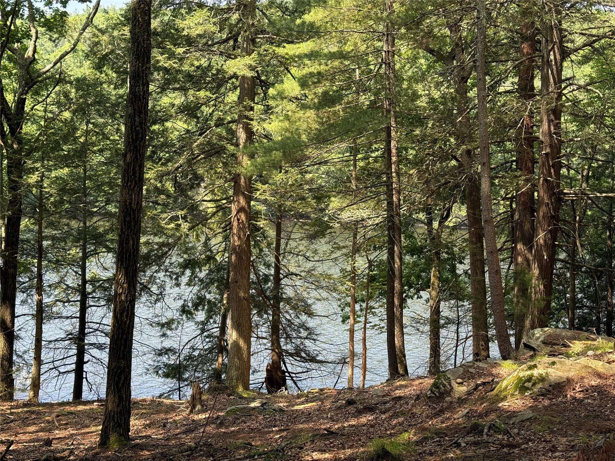 Forestburgh, NY 12777,Plank RD