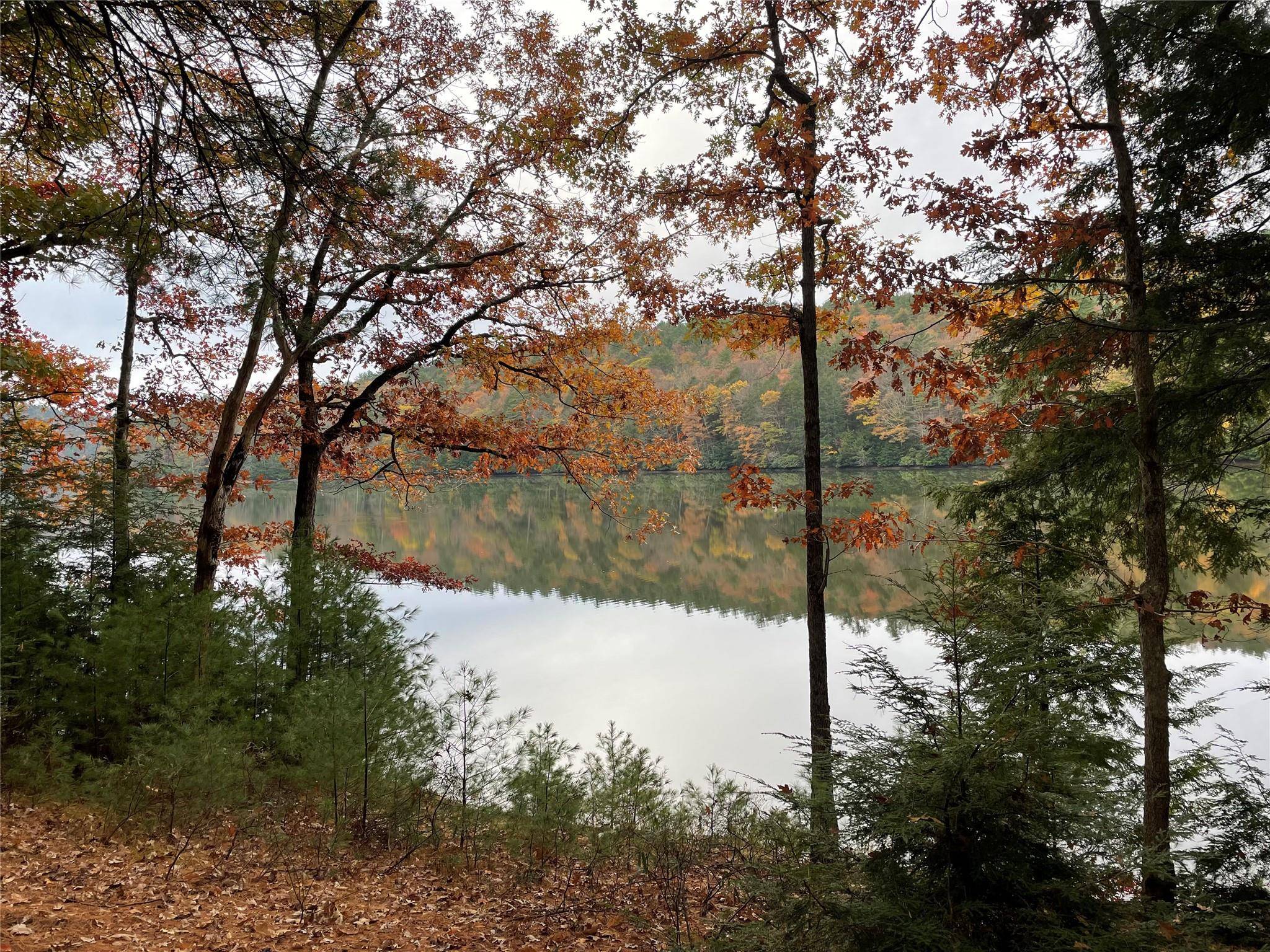 Forestburgh, NY 12777,Plank RD