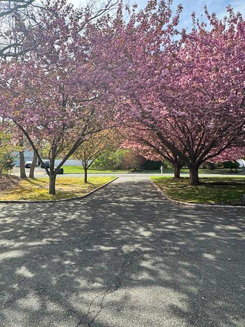 Port Jefferson Station, NY 11776,6 Debbie ST