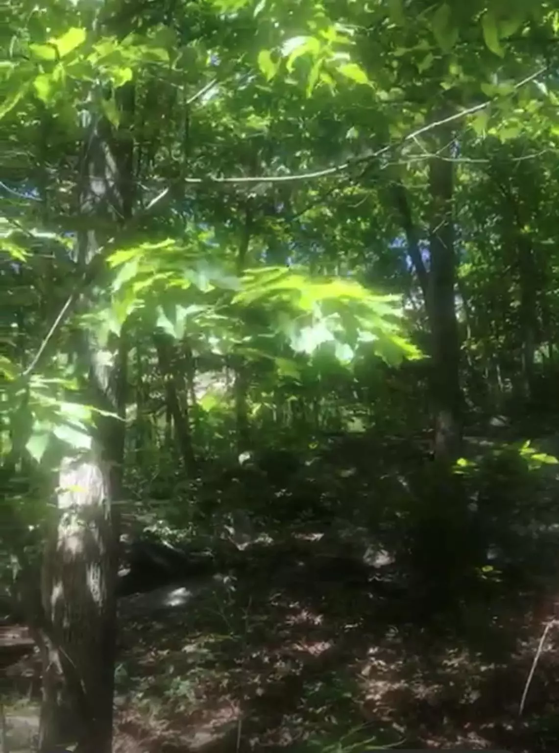 Greenwood Lake, NY 10990,190 BROOK TRL