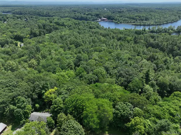 L56 River ST, Call Listing Agent, NY 12804