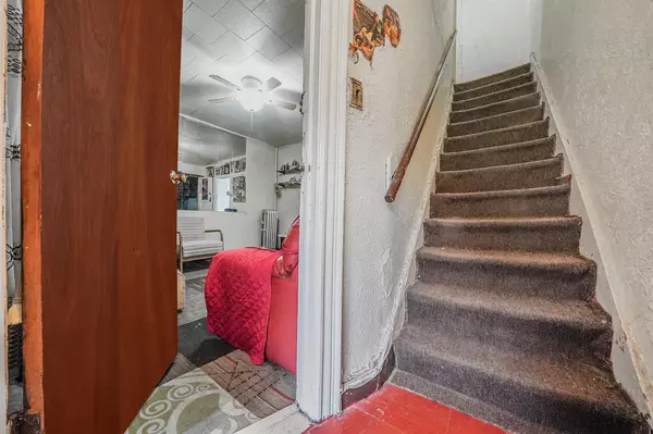 Brooklyn, NY 11225,20 Lamont CT