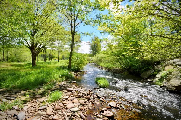 Roscoe, NY 12776,7 Bonnie Brook RD