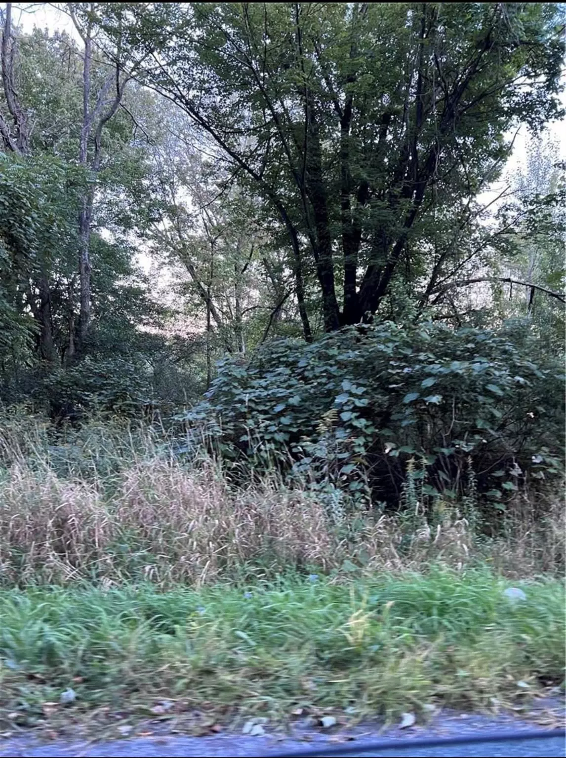 Port Jervis, NY 12771,Greenville TPKE