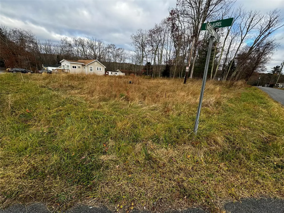 Wurtsboro, NY 12790,44 Laurel TRL