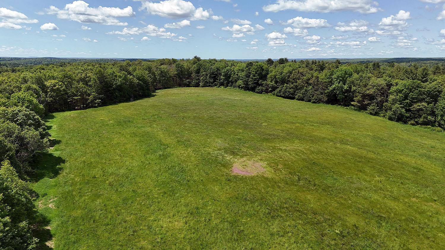 Cochecton, NY 12726,342 Bernas RD