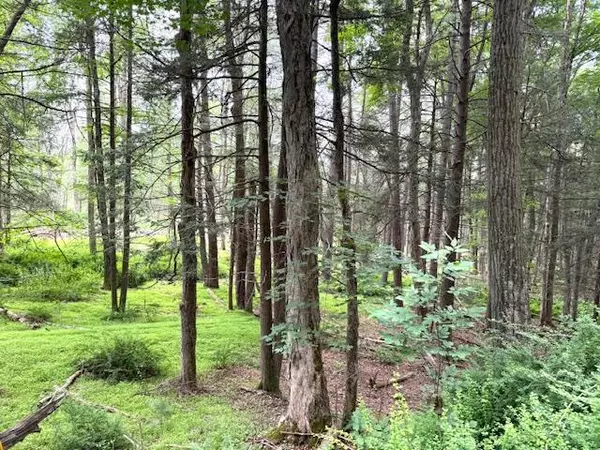 Sparrowbush, NY 12780,131 Old Plank RD