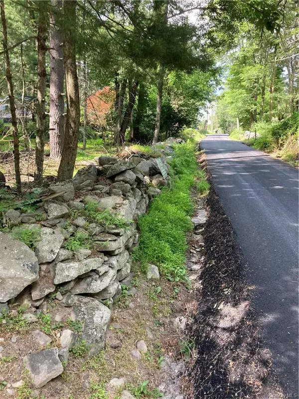 Narrowsburg, NY 12764,Irishtown RD