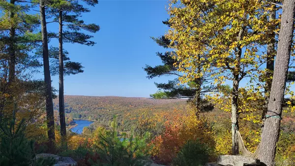 Narrowsburg, NY 12764,Lot 1 Eagle View Road