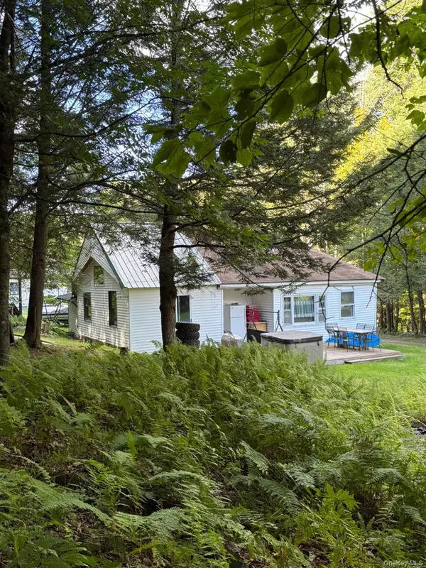 Smallwood, NY 12701,82 Starlight RD