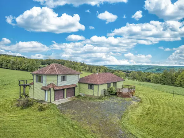 161 Christian Hill RD, Franklin, NY 13775