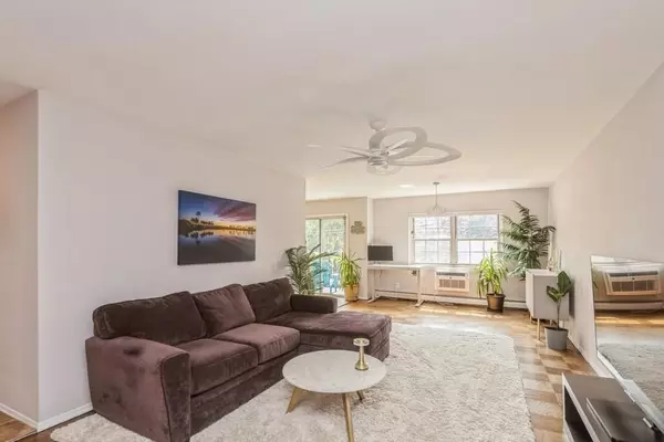 Rockville Centre, NY 11570,250 N Village Avenue #B3