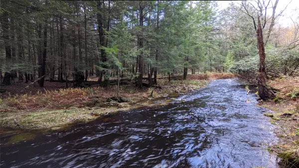 Swan Lake, NY 12783,John Bishop RD