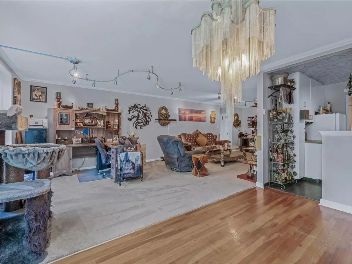 Little Neck, NY 11362,241-20 Northern BLVD #6J