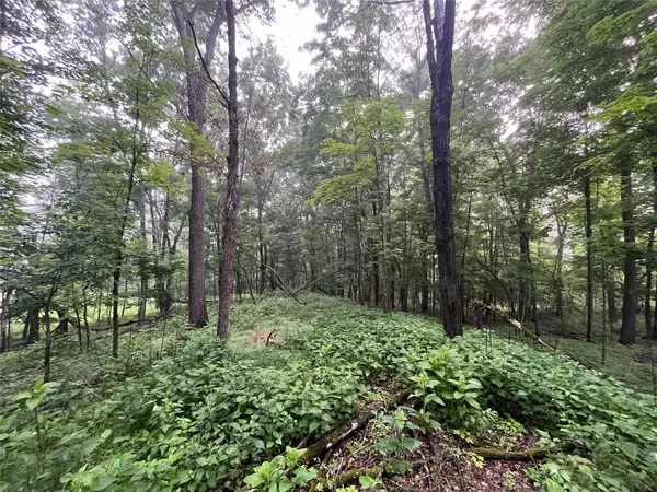 Pleasant Valley, NY 12569,Pine Hill RD
