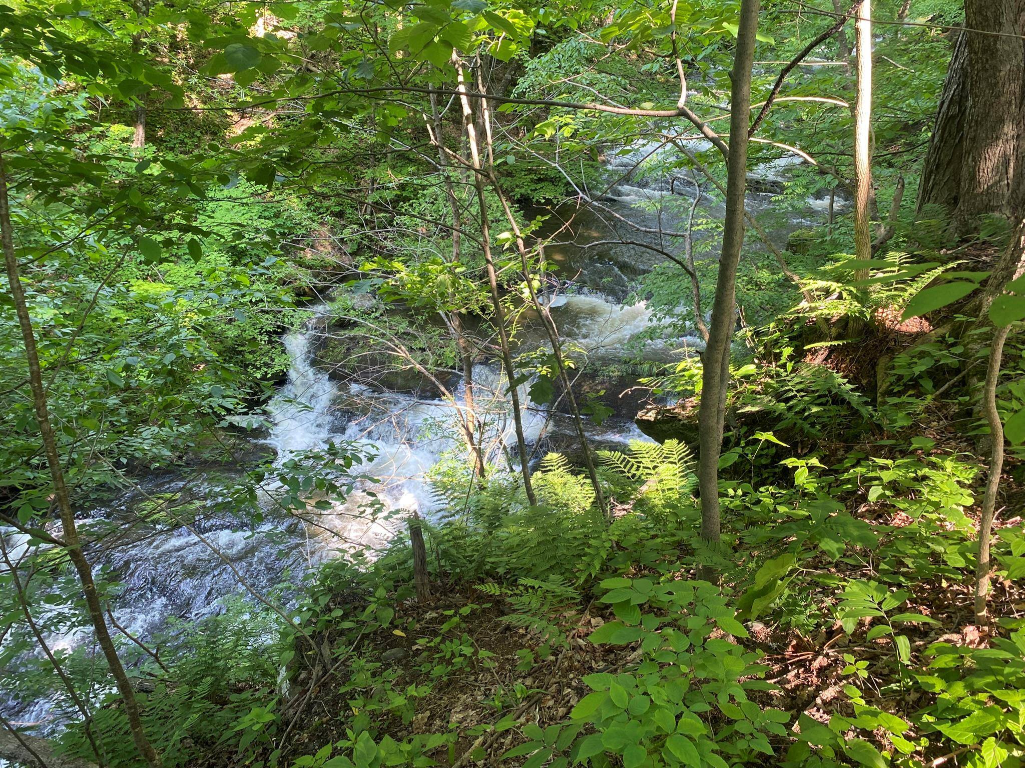 Elizaville, NY,County Route 8