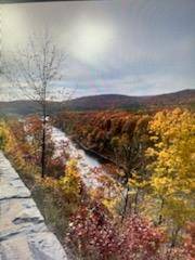Sparrowbush, NY 12780,9 Cherry Hill LN